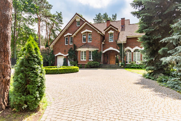 Best Professional Driveway Pavers  in Ormond By The Sea, FL