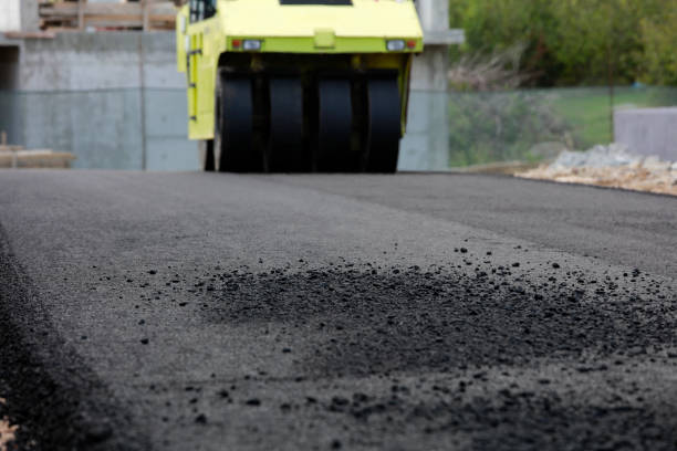 Best Best Driveway Pavers  in Ormond By The Sea, FL